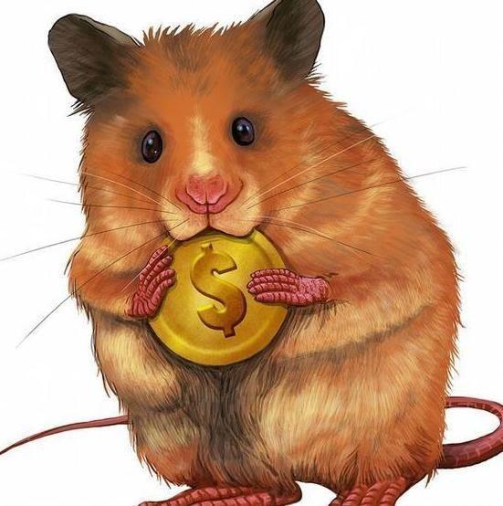 pis老鼠 揭秘神秘PIS鼠：智慧背后的未解之谜