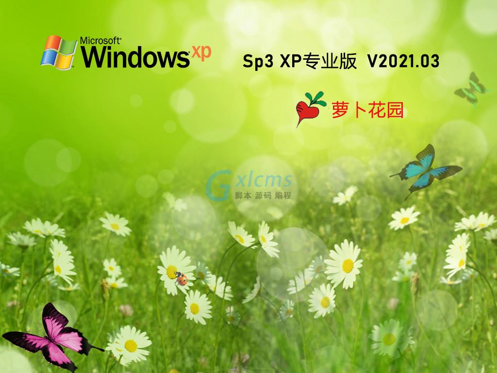 WindowsXP系统SP3补丁：网络安全与稳健性的关键性升级