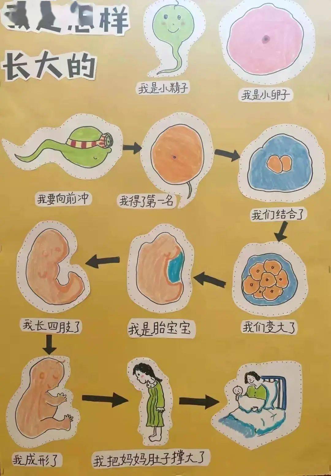 探索生命的起源与演化：从遗传密码到化石的多元证据揭示生命的奥秘