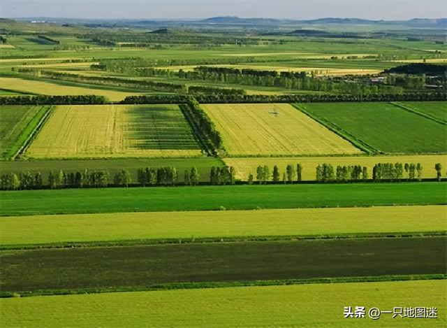 沙子图团团长_红蝎子第二部_沙子图团和红蝎子团