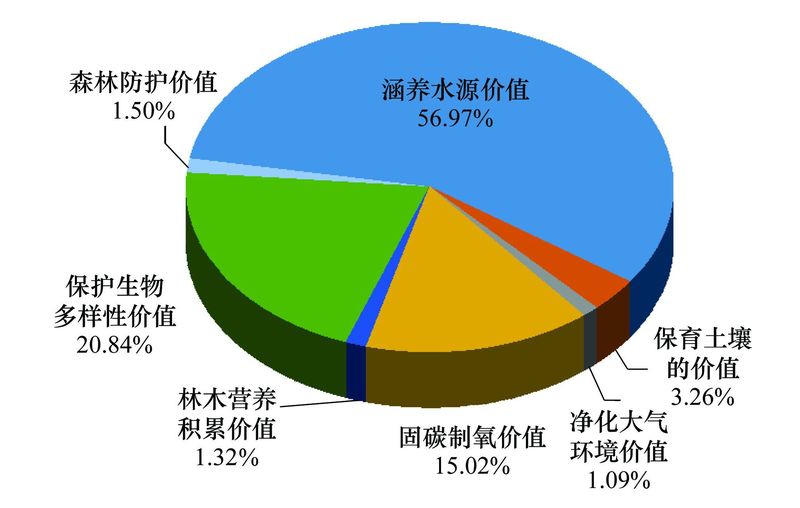 树苗龟_树苗龟_树苗龟