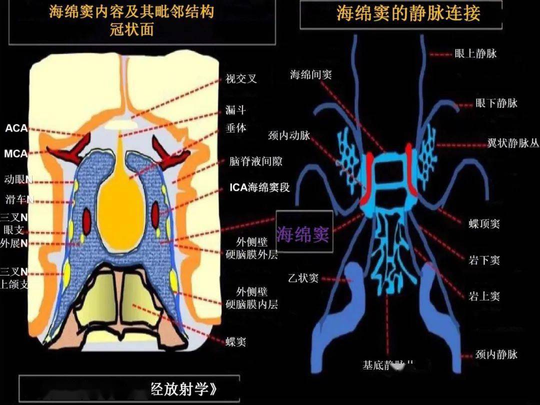 伊底帕斯_伊底帕斯_伊底帕斯