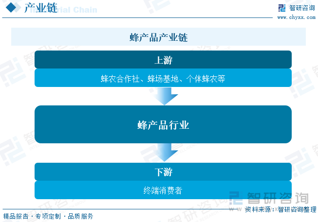 召唤兽内丹多少钱_召唤兽内丹价格_召唤兽内丹价格表