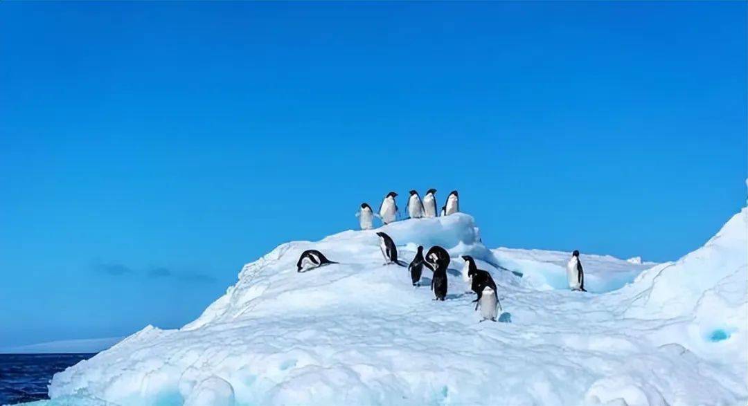 海盗能源站怎么进_海盗能源站_海盗能源站佐格任务