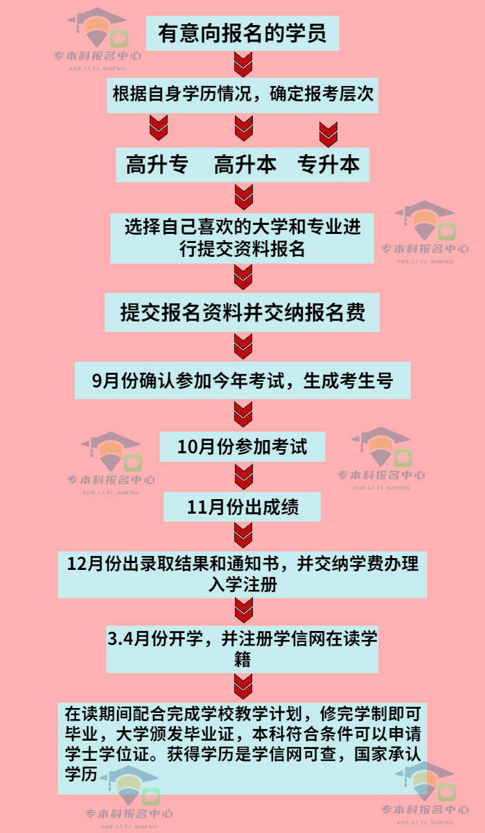 深度剖析赛尔号联盟审判权：历史、流程、责任分配全方位解析