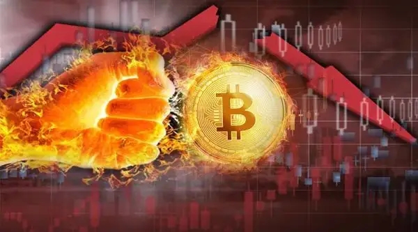 imtooken钱包下载_钱包下载官方最新版本安卓_钱包下载imtoken钱包