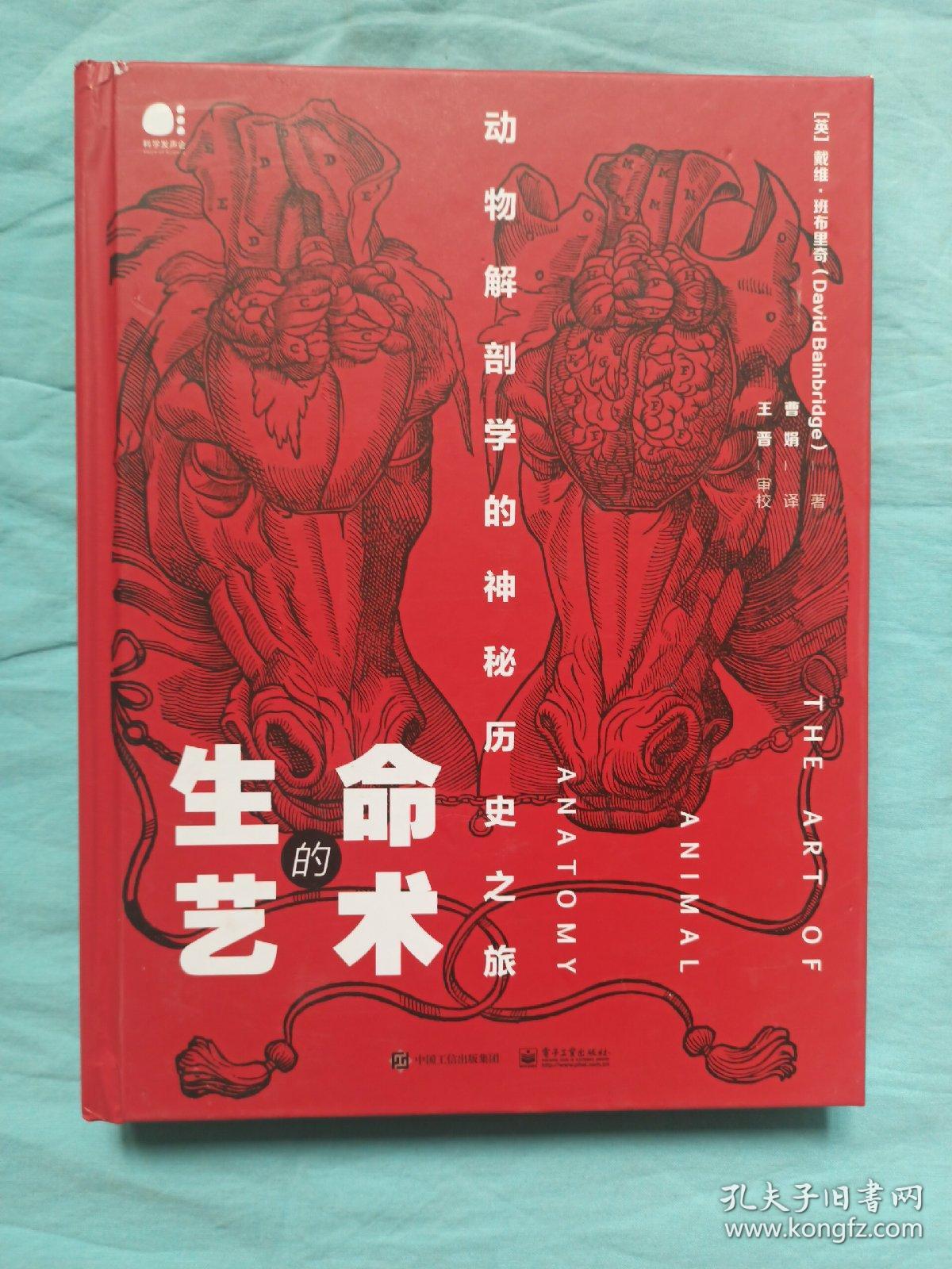 密室逃脱唐门攻略_低级密室攻略唐门怎么开_低级唐门密室攻略