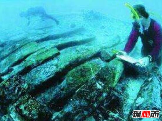 大剑海獭_大剑海獭性格配招_大剑海獭属性