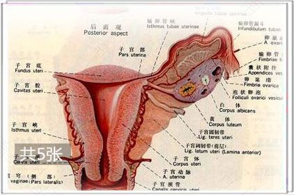 液体水晶_水晶液体沙漏有毒吗_水晶液体气泡是什么