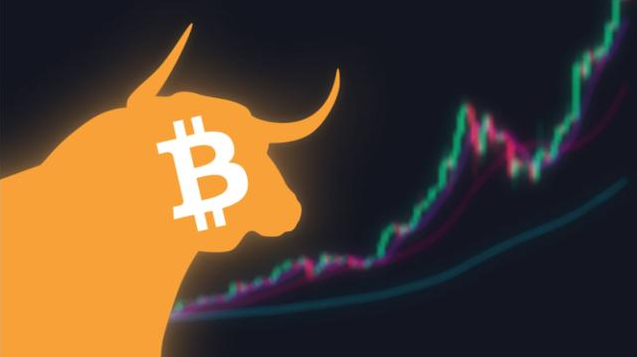 钱包下载网址imToken_钱包下载网址_imtoken钱包网址下载