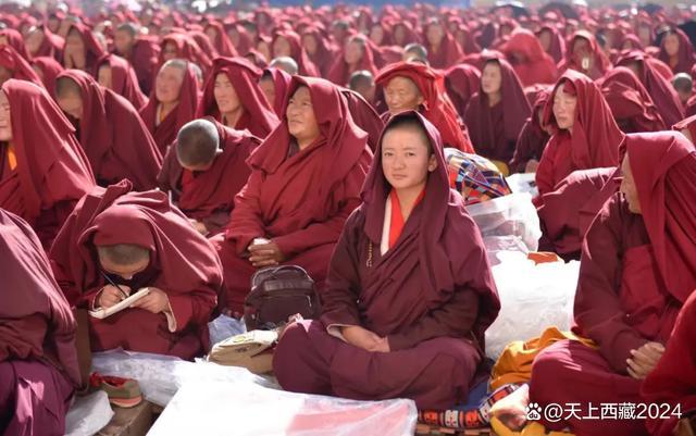 赛尔号精灵学院在哪里_赛尔号精灵学院_赛尔号精灵学院下架了