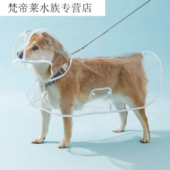 犬神出装最新 探索犬类时尚：宠物服饰如何成为狗狗个性标签的新潮流