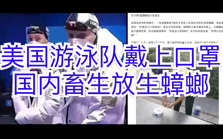 蟑螂出装_vn打野出装s7出装_扎克出装打野出装