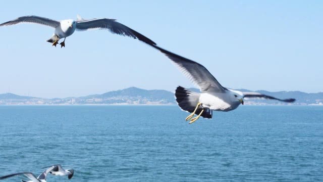 移速流剑圣出装_剑圣最快移动速度出装_剑圣移速流出装