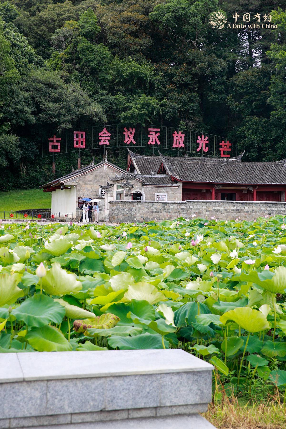 王者出装名刀_出装都是名刀_lol刀男出装