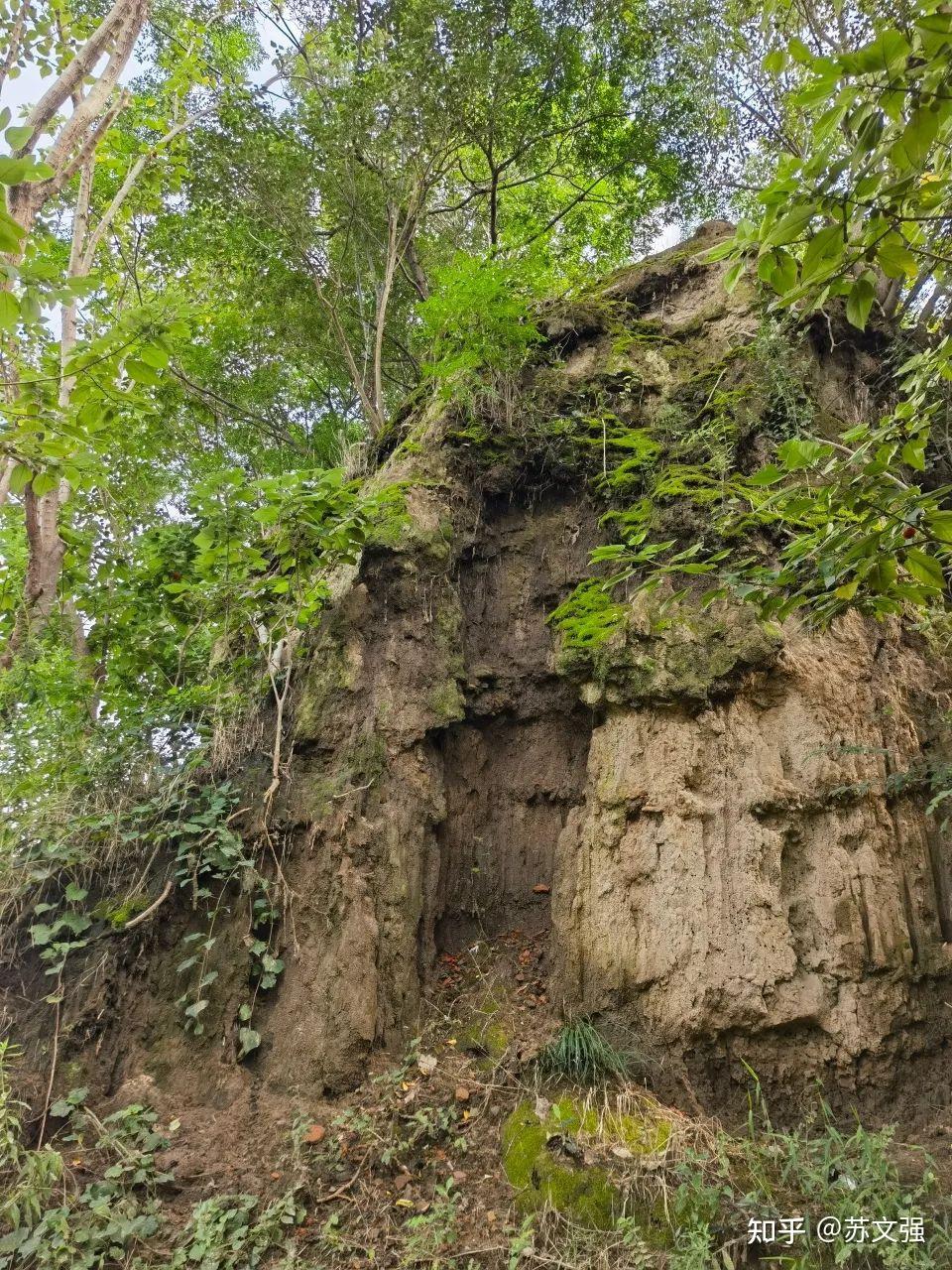 刘邦出装最强输出_h刘邦出装_核爆流刘邦出装