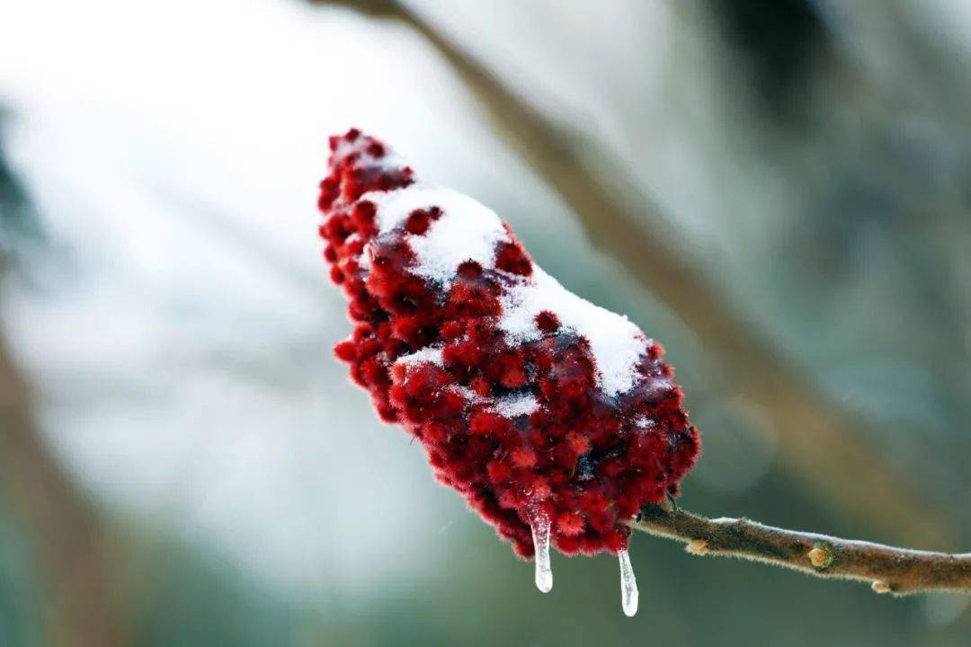 雪的出装_雪的出装_雪的出装