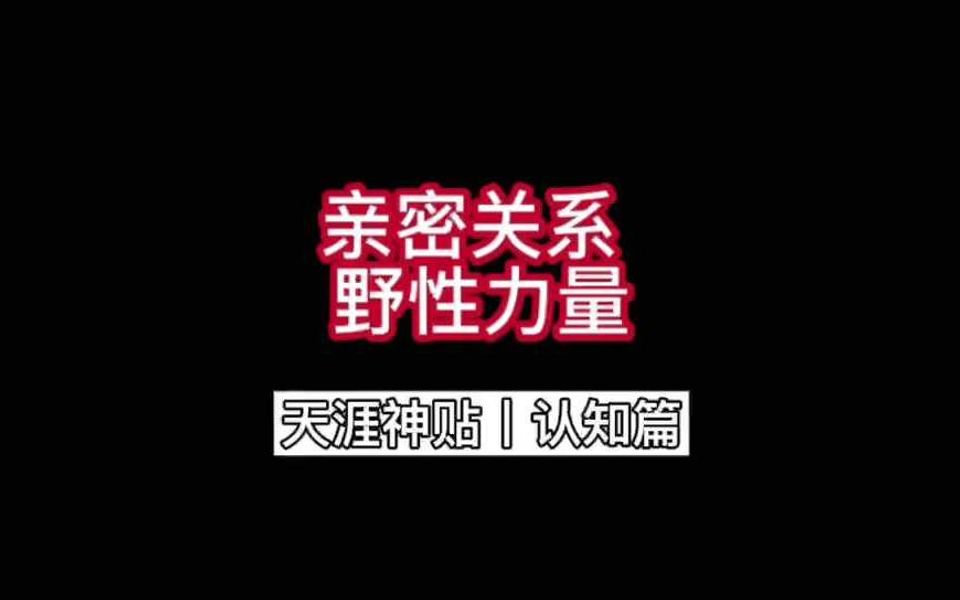 狼头是什么装备_狼装出一副又老实又可怜的模样_狼头出什么装