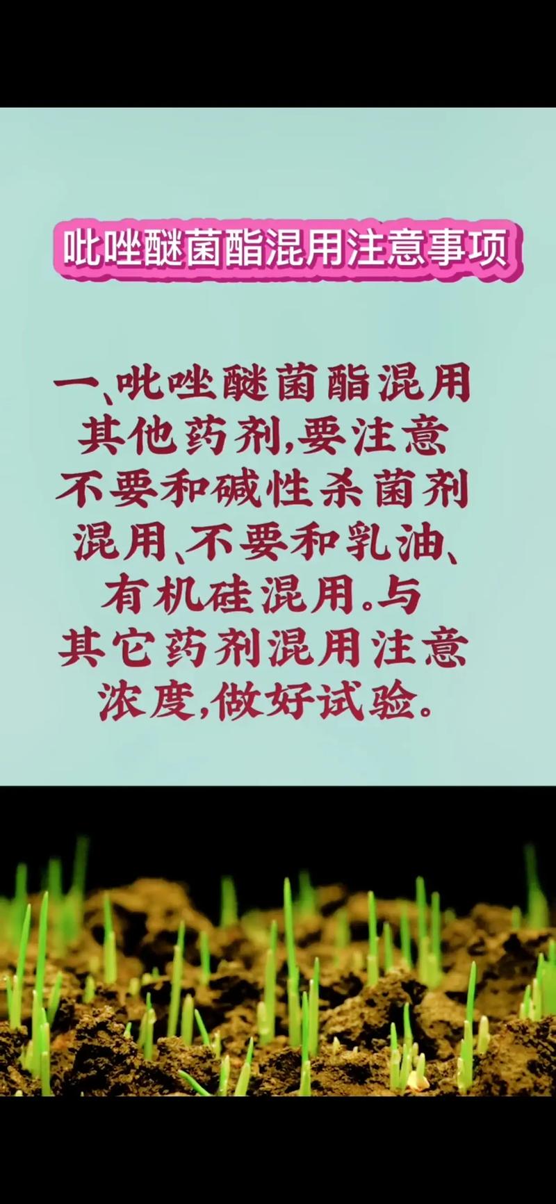 慎上单出装s11_慎上单出装2020_上单慎出装