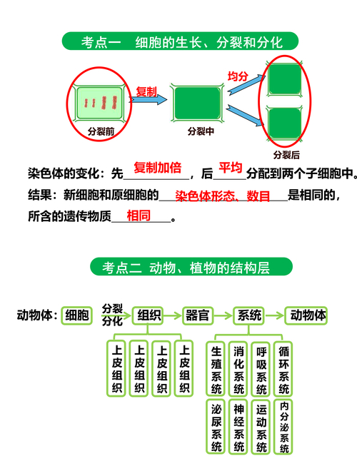 木兰solo出装_张大仙木兰出装_木兰的出装