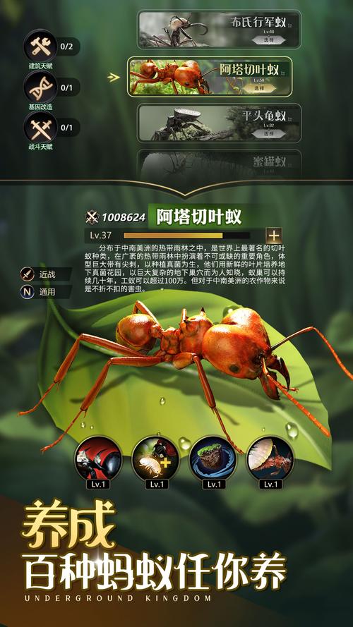 6.83蚂蚁出装_最强蚂蚁出装_蚂蚁出装dota